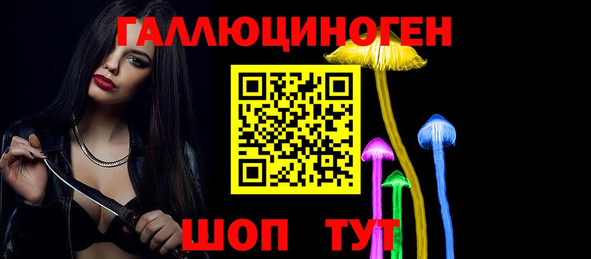 купить наркотик  Вход с VPN  Павлово  Псилоцибиновые грибы Psilocybine cubensis 